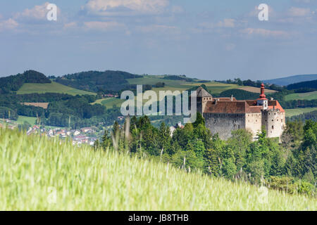 Krumbach Castello, Bucklige Welt, Krumbach, Wiener Alpen, Alpi Niederösterreich, Austria Inferiore, Austria Foto Stock