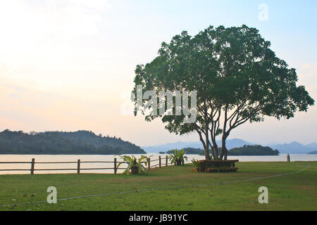 Albero e tramonto al lago, Kaeng Krachan diga su silhouette Foto Stock