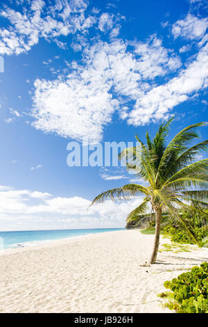 Fallo Bay, Barbados, dei Caraibi Foto Stock