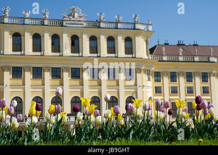 VIENNA, Austria - Aprile 30th, 2017: Palazzo di Schonbrunn a Vienna. Si tratta di un ex imperial 1441-camera Rococo residenza estiva di Sissi Imperatrice Elisabetta di Foto Stock