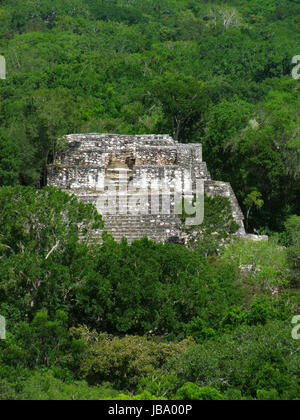 Tempio di Calakmul, Maya sito archeologico nello Stato messicano di Campeche Foto Stock