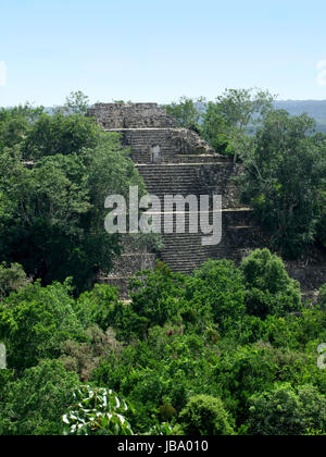 Tempio di Calakmul, Maya sito archeologico nello Stato messicano di Campeche Foto Stock