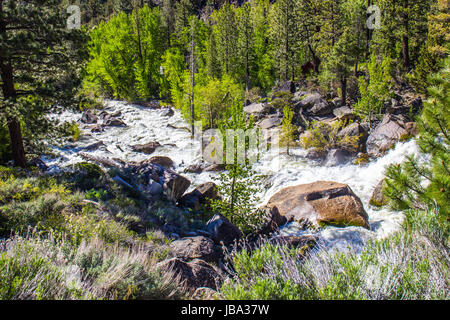 Fiume Impetuoso dalla fusione della neve in montagna Foto Stock