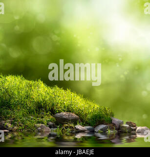 Grüner Hintergrund mit Gras, Wasser, Bäumen und Lichteffekten Foto Stock