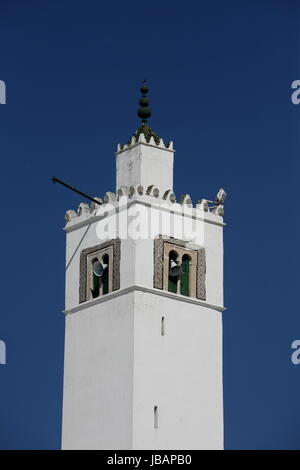 Die Moschee mit Minarett in der Altstadt von Sidi Bou Said noerdlich von Tunisi im Norden von Tunesien in Nordafrika am Mittelmeer. Foto Stock