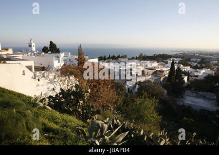 Afrika, Tunesien, Tunisi, Sidi Bou Said, Altstadt, Foto Stock