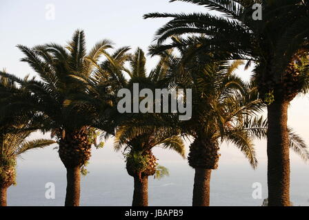 Afrika, Tunesien, Tunisi, Sidi Bou Said, Altstadt, Foto Stock