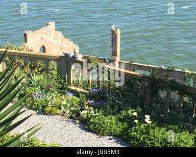 Isola di Alcatraz e la baia di San Francisco, California Foto Stock