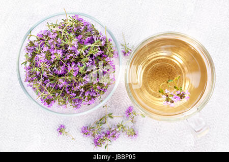 Ciotola di timo fresco ciuffi con tè alle erbe nella tazza da sopra Foto Stock