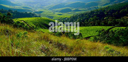 Stock Photo - bellissimo paesaggio del Kerala e paesaggi della natura Foto Stock