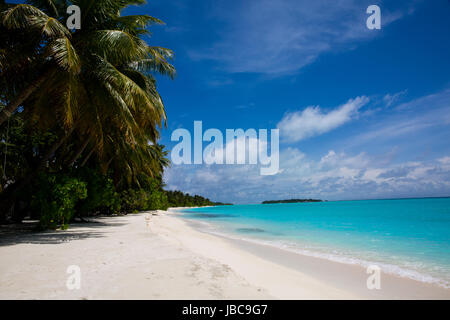 Polvere di sabbie bianche e verdi vegeatation su un isola delle vacanze alle Maldive. Foto Stock