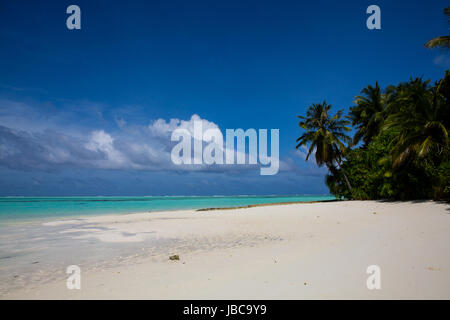 Spiaggia tranquilla alle Maldive nell'Oceano Indiano, una lussureggiante vegetazione tra cui gli alberi di cocco e palme, poweder sabbie bianche e crystal clear oce Foto Stock