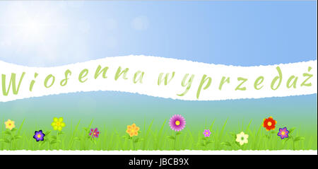 Carta strappata molla centrale paesaggio con fiori,l'erba,gocce di pioggia in una soleggiata blu sfondo con ray di luci Foto Stock