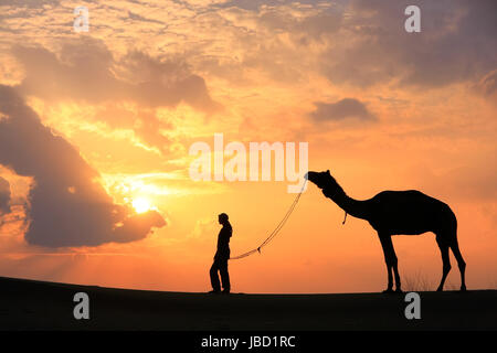 Stagliano persona con un cammello al tramonto, il deserto di Thar vicino a Jaisalmer, Rajasthan, India Foto Stock