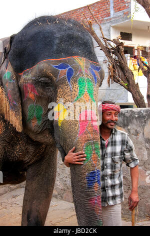 Mahout in piedi con dipinto di elefante a piccoli quartieri di elefante a Jaipur, Rajasthan, India. Gli elefanti sono usati per giostre ed altre attrazioni turistiche activitie Foto Stock