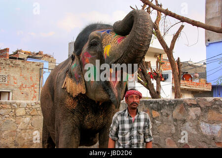 Mahout in piedi con dipinto di elefante a piccoli quartieri di elefante a Jaipur, Rajasthan, India. Gli elefanti sono usati per giostre ed altre attrazioni turistiche activitie Foto Stock