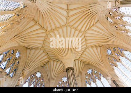 La ventola di un magnifico soffitto a volta architettura in casa del Capitolo della Cattedrale di Wells, pozzi, Somerset, Inghilterra, Regno Unito Foto Stock