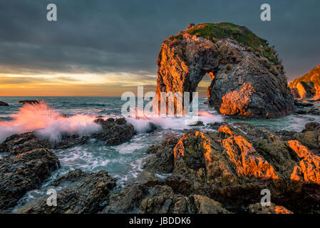 Suntrese a testa di cavallo Rock sulla riva del Nuovo Galles del Sud. Foto Stock