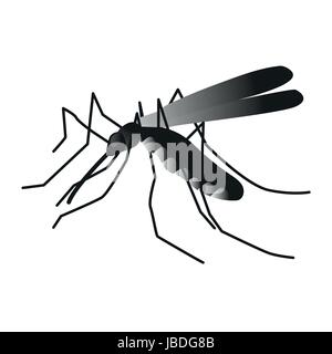Insetto. una zanzara realistiche. Mosquito isolati su sfondo bianco. Le larve della zanzara battenti zanzariera. La trasmissione del virus, illustrazione vettoriale Illustrazione Vettoriale