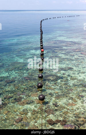 SIPADAN, BORNEO, Malesia - una stringa di poco le boe galleggiante sopra una barriera corallina. Foto Stock