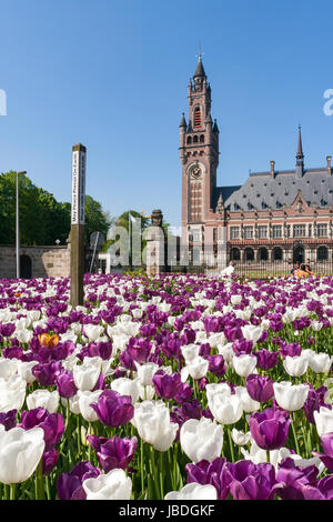 Il PALAZZO DELLA PACE, L'Aia, Paesi Bassi - costruire nel 1913 per ospitare la corte internazionale di giustizia ICJ e della Corte permanente di arbitrato di PCA. Foto Stock