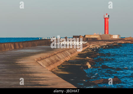 Faro rosso sul molo frangiflutti a Mar Baltico Foto Stock