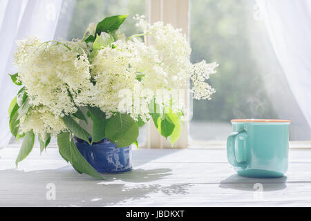 Fiori di sambuco e la tazza di caffè caldo dalla finestra di luce del sole al mattino Foto Stock