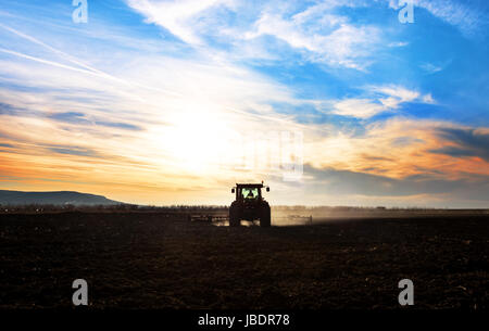 Aratri trattore un campo in primavera accompagnato da rooks trattore. Tramonto Foto Stock