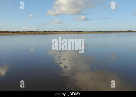 Footprints conducono attraverso sabbia bagnata su una spiaggia bagnata con il cielo si riflette nell'acqua. Foto Stock