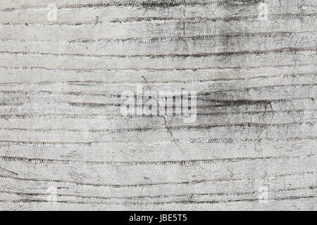 Una schifezza di cemento bianco sullo sfondo della parete Foto Stock