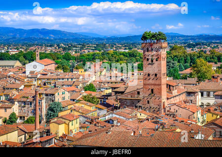 Vista panoramica di Lucca e Torre Guinigi dalla Torre delle Ore, Lucca, Italia Foto Stock