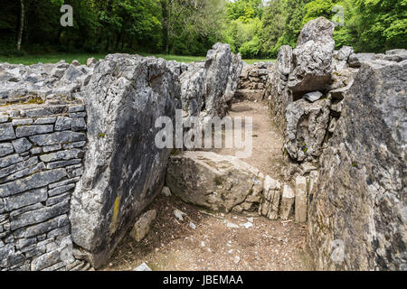 Camera di sepoltura, Parc le Breos. Green Cwm, Gower, Wales, Regno Unito Foto Stock