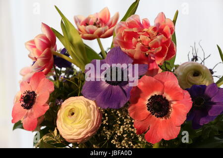 Blumenstrauss mit anemonen, ranunkeln,tulpen Foto Stock