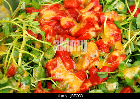 Lo zenzero organica di sesamo dressing sui peperoni rossi dolci arrostiti e insalata di crescione da vicino. Foto Stock