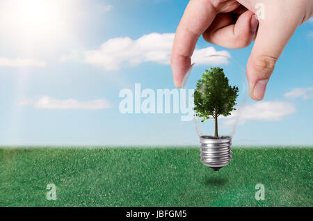 Efficienza energetica del concetto. Composizione astratta con albero in lampadina sulla natura sfondo Foto Stock