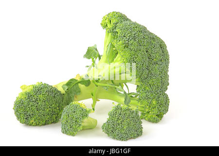 Brokkoli freigestellt vor weißem Hintergrund (Brassica oleracea var. italica) Foto Stock