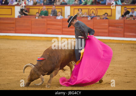 BADAJOZ, Spagna, 12 aprile: il torero spagnolo Jose Maria Manzanares eseguendo una corrida, il 12 aprile 2014 in Badajoz, Spagna Foto Stock