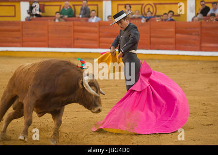 BADAJOZ, Spagna, 12 aprile: il torero spagnolo Jose Maria Manzanares eseguendo una corrida, il 12 aprile 2014 in Badajoz, Spagna Foto Stock