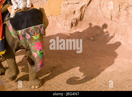 Decorate elefante indiano (Elephas maximus indicus) trasportano i turisti a Forte Amber alla periferia di Jaipur nel Rajasthan, India. Foto Stock