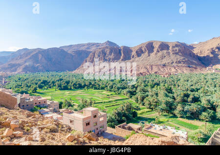 Belle lussureggianti oasi verde con edifici e montagne a Todra Gorge, Marocco, Africa del Nord. Foto Stock