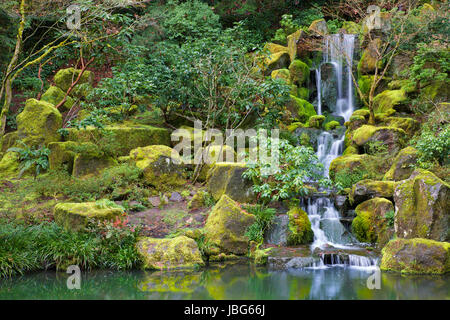 Asian Garden cascata che scorre in uno stagno circondato da moss ricoperta di rocce, alberi e altre fogliame Foto Stock