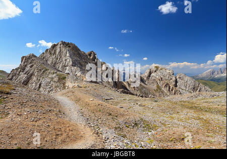 Il sentiero sulla Cresta di Costabella a San Pellegrino valley, Trentino, Italia Foto Stock