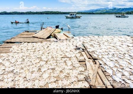 Livingston, Guatemala - agosto 31, 2016: i pescatori passato canoe barche da pesca & garzetta nei pressi di essiccazione del pesce in sun in Rio Dulce estuario nella città dei Caraibi Foto Stock