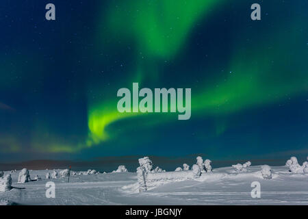 Polarlicht (l'Aurora boreale, Kittilä, Finnland Foto Stock