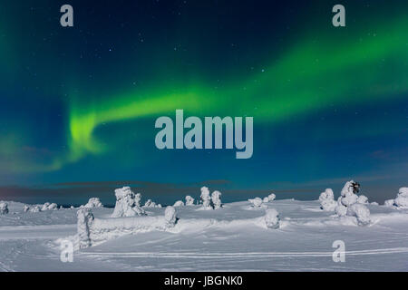 Polarlicht (l'Aurora boreale, Kittilä, Finnland Foto Stock