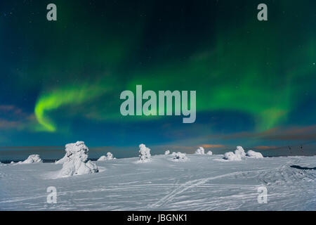 Polarlicht (l'Aurora boreale, Kittilä, Finnland Foto Stock