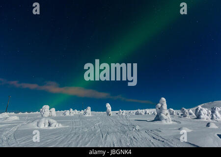 Polarlicht (l'Aurora boreale, Kittilä, Finnland Foto Stock