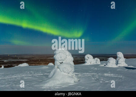 Polarlicht (l'Aurora boreale, Kittilä, Finnland Foto Stock