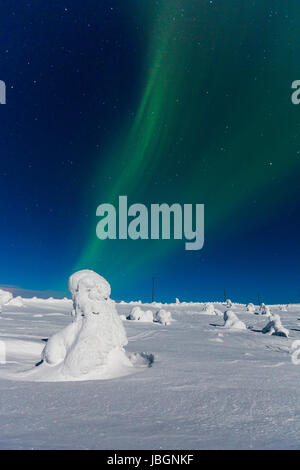 Polarlicht (l'Aurora boreale, Kittilä, Finnland Foto Stock