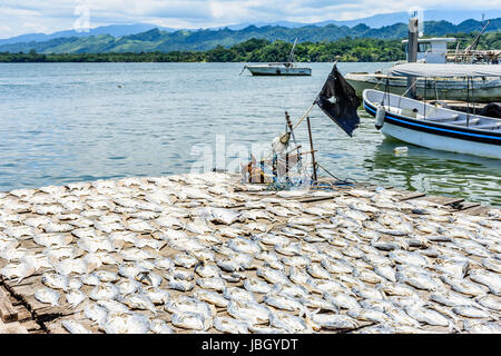 Barche da pesca al di ancoraggio nei pressi di essiccazione del pesce in sun dal fiume di estuario del Rio Dulce nei Caraibi città di Livingston, guatemala Foto Stock